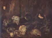 SCHRIECK, Otto Marseus van Still Life with Insects and Amphibians (mk14) Sweden oil painting reproduction